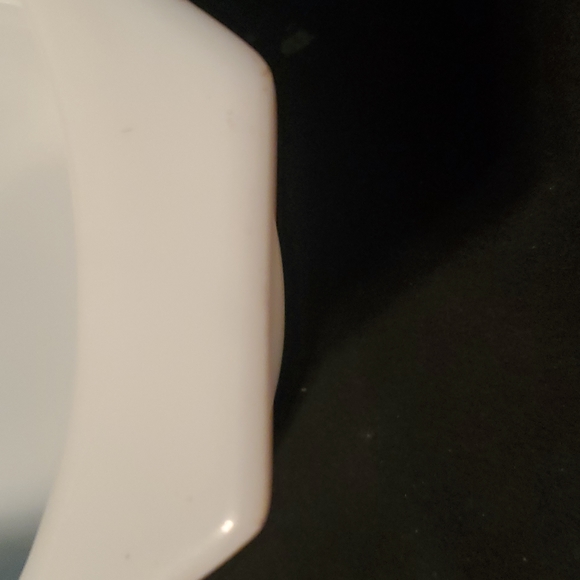 Rare pyrex bluebird birds design - Picture 4 of 6